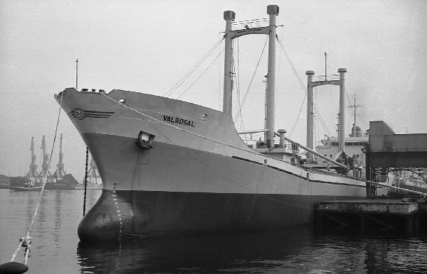 Valrosal por T. Diedrich Valrosal por T. Diedrich